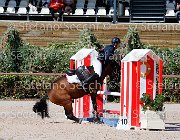 Apolloni Baby Arko GioCav2013 S5 1908 : Apolloni Gianluca, Baby Arko, Campionati Italiani Giovani Cavalli, Cattolica, ph Stefano Secchi ©